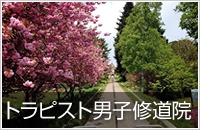 春の道南・桜の名所コース