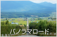 函館出発・夏の富良野、美瑛の旅